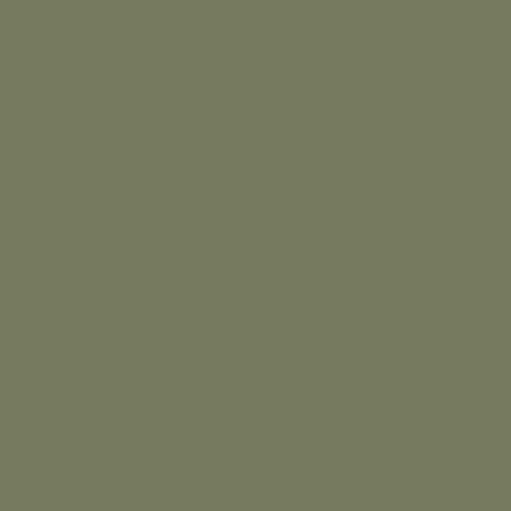 RAL 6013 Reed green entry-doors door-colors ral-colors ral-6013-reed-green texture