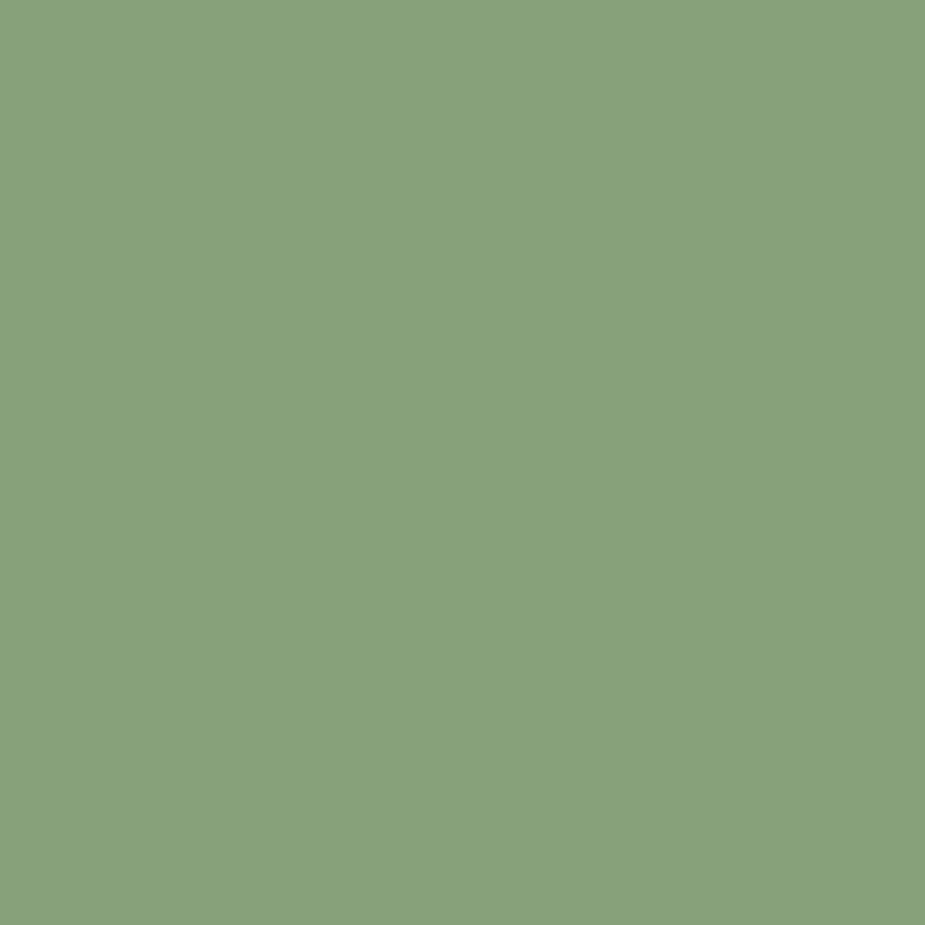 RAL 6021 Pale green entry-doors door-colors ral-colors ral-6021-pale-green texture