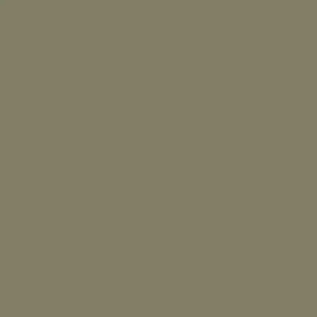 RAL 7002 Olive grey entry-doors door-colors ral-colors ral-7002-olive-grey texture