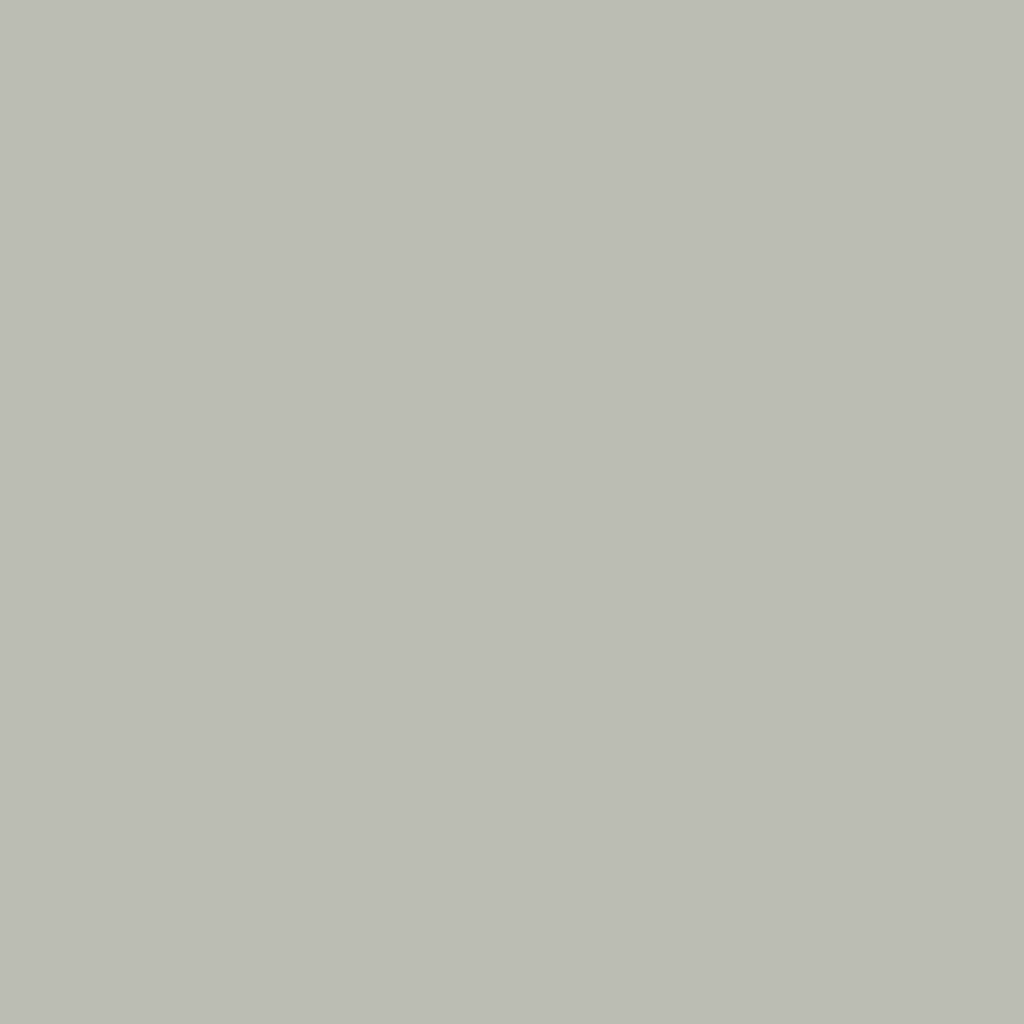 RAL 7044 Silk grey entry-doors door-colors ral-colors ral-7044-silk-grey texture