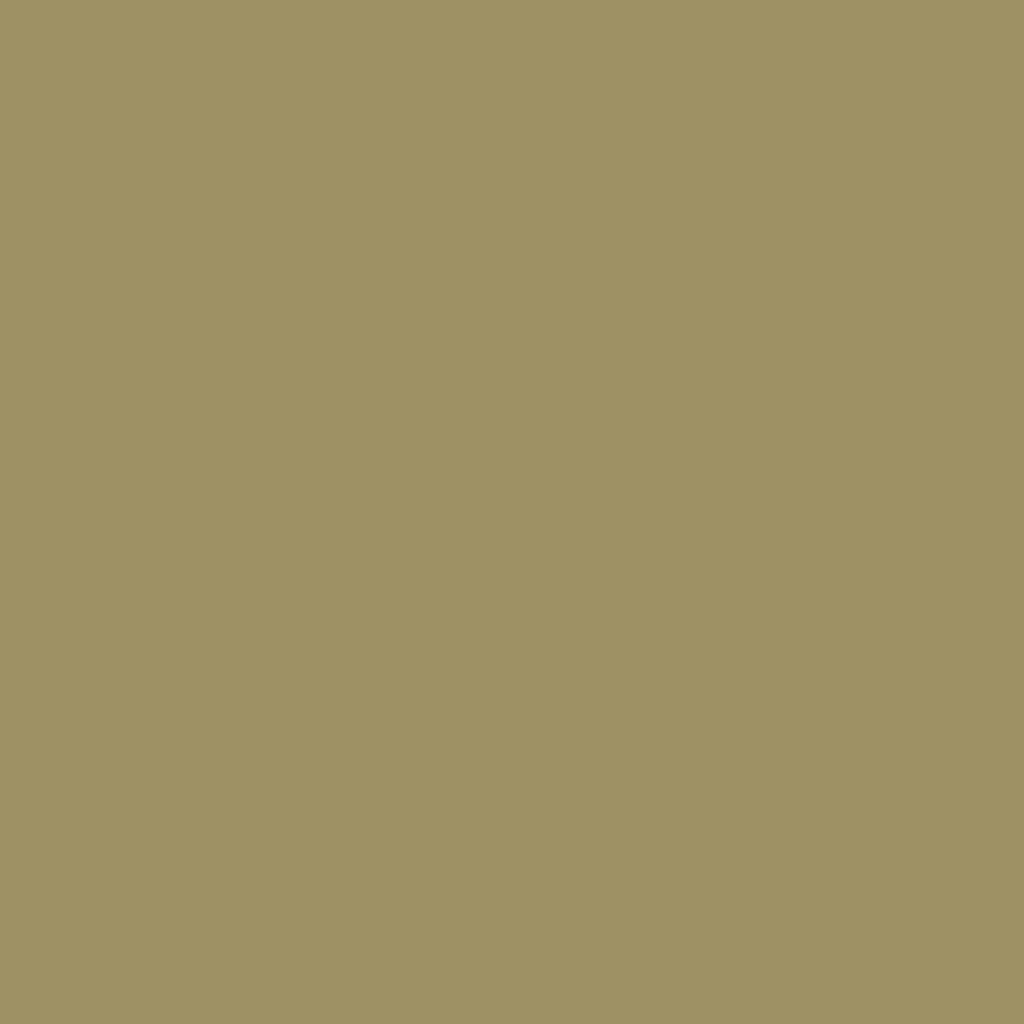 RAL 1020 Olive yellow entry-doors door-colors ral-colors ral-1020-olive-yellow texture