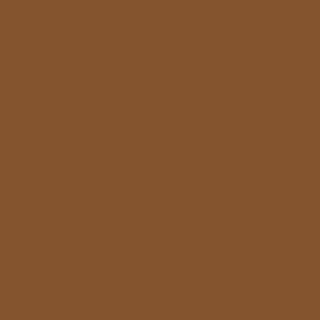 RAL 8003 Clay brown entry-doors door-colors ral-colors ral-8003-clay-brown texture