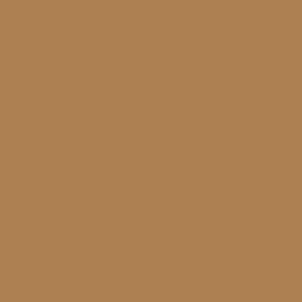 RAL 1011 Brown beige entry-doors door-colors ral-colors ral-1011-brown-beige texture