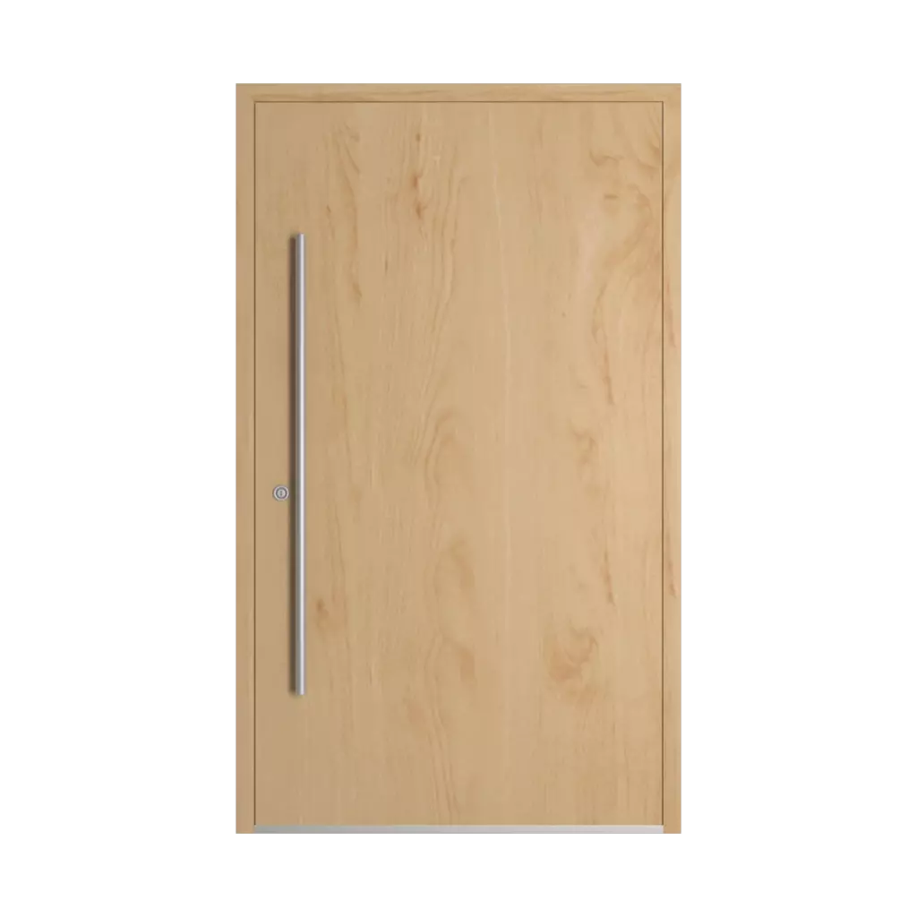 Birch entry-doors models dindecor sk01-beton  