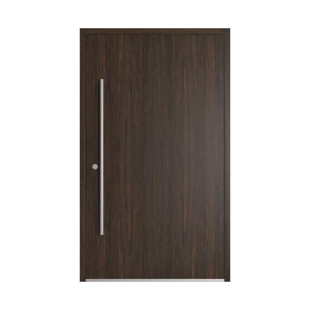 Dark oak entry-doors models dindecor sk01-beton  