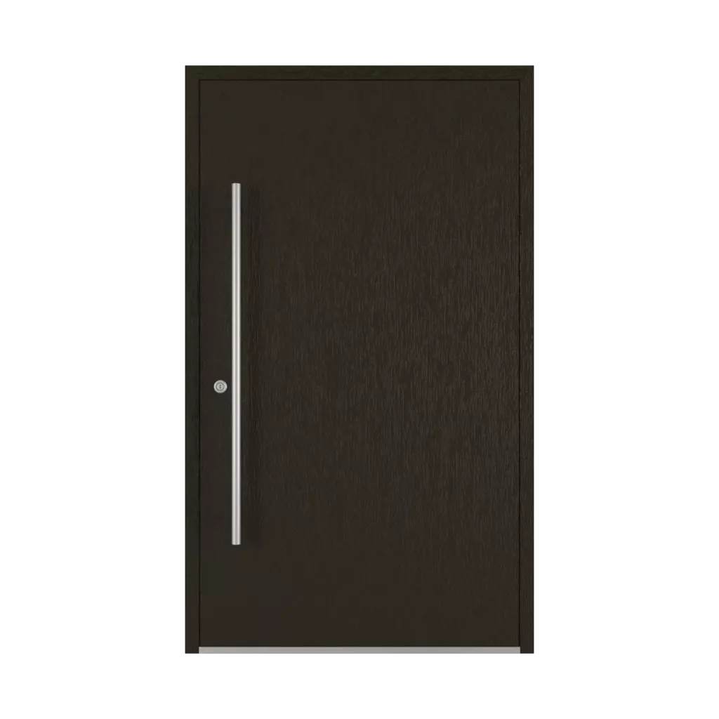 Palisander entry-doors models dindecor 6120-pwz  