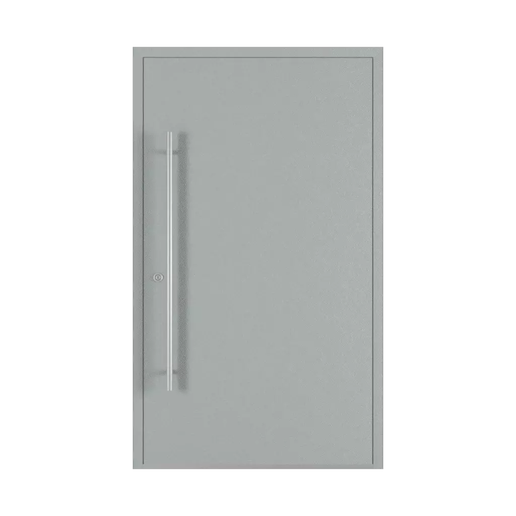 Gray entry-doors models dindecor 6013-pvc  