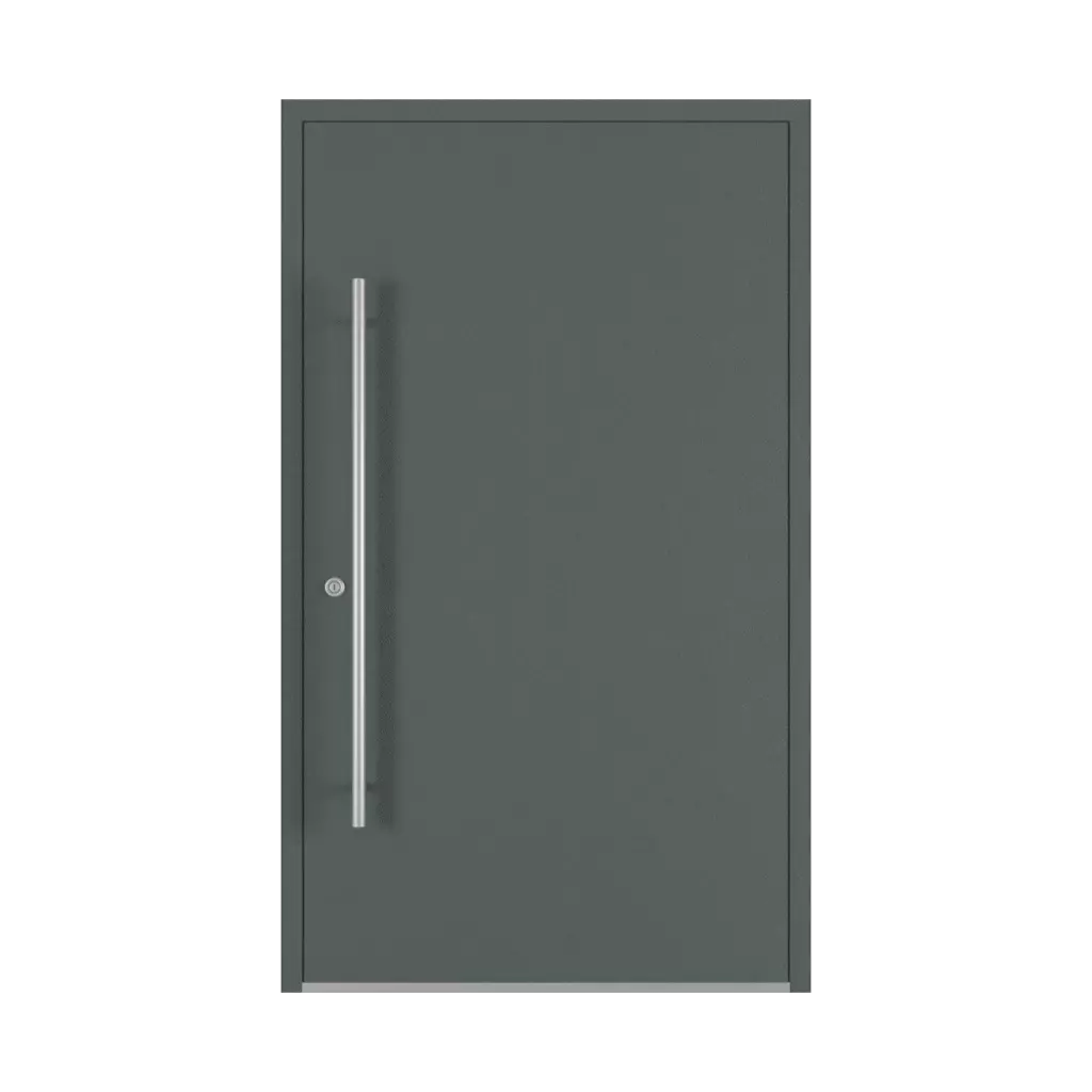 Basalt gray entry-doors models dindecor 6013-pvc  