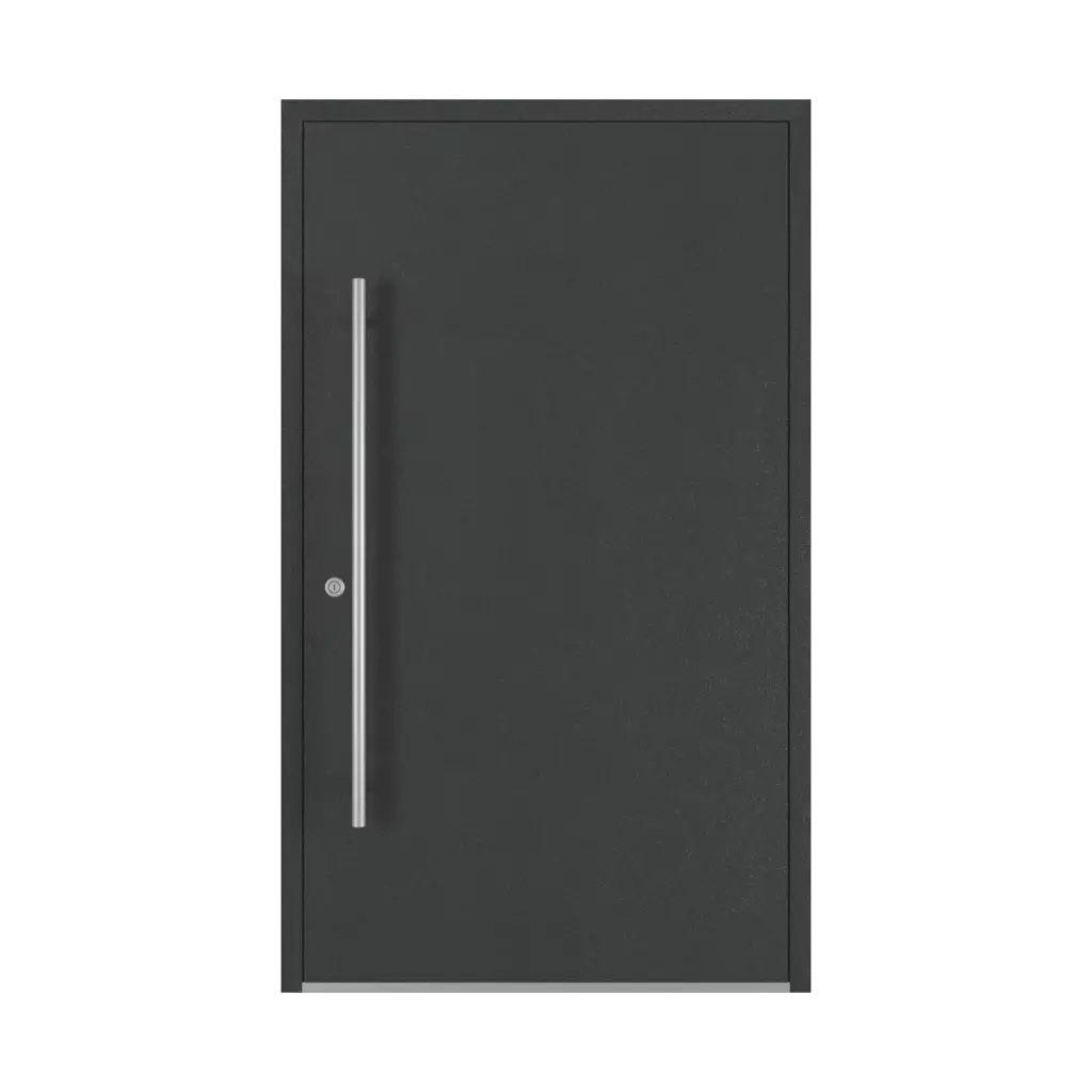 Aludec gray anthracite entry-doors models dindecor 6013-pvc  