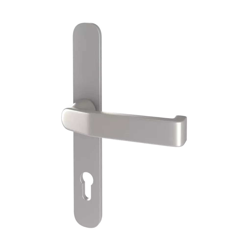 Silver entry-doors door-accessories handles handle-370900 