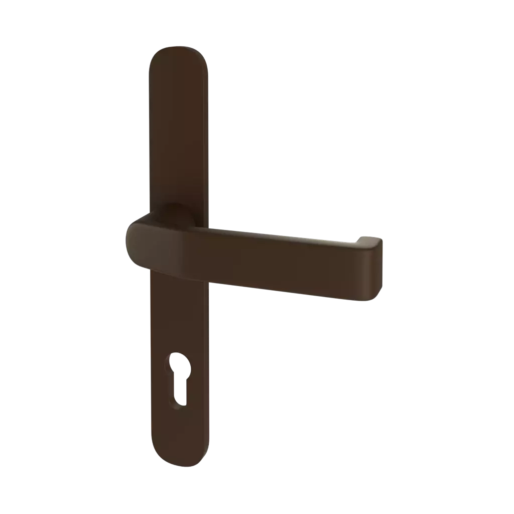Brown entry-doors door-accessories handles handle-370900 interior