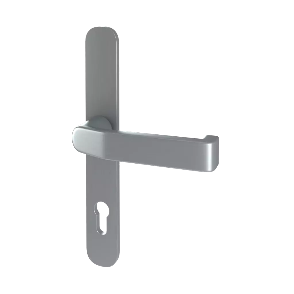 F9 entry-doors door-accessories handles handle-370900 interior