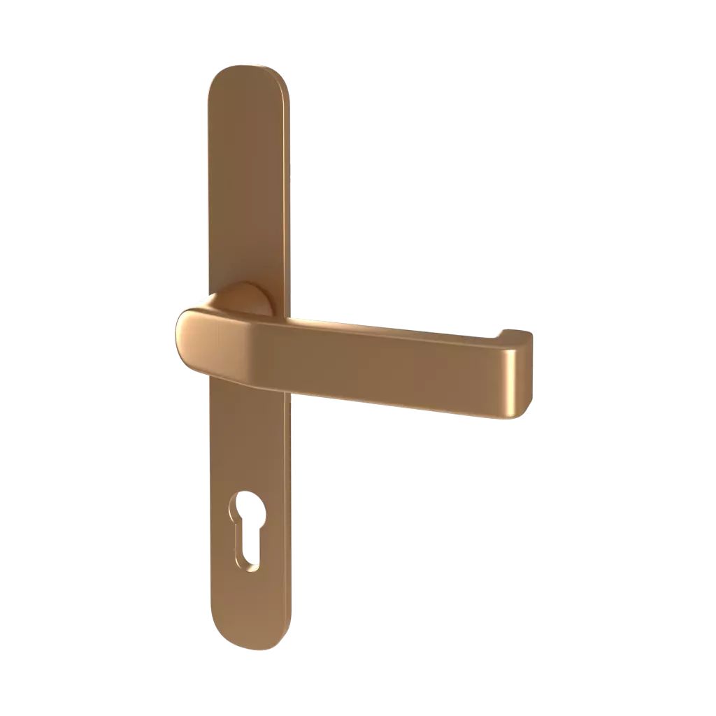 Gold entry-doors door-accessories handles handle-370900 