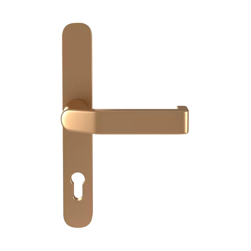 Gold entry-doors door-accessories handles handle-370900 gold 