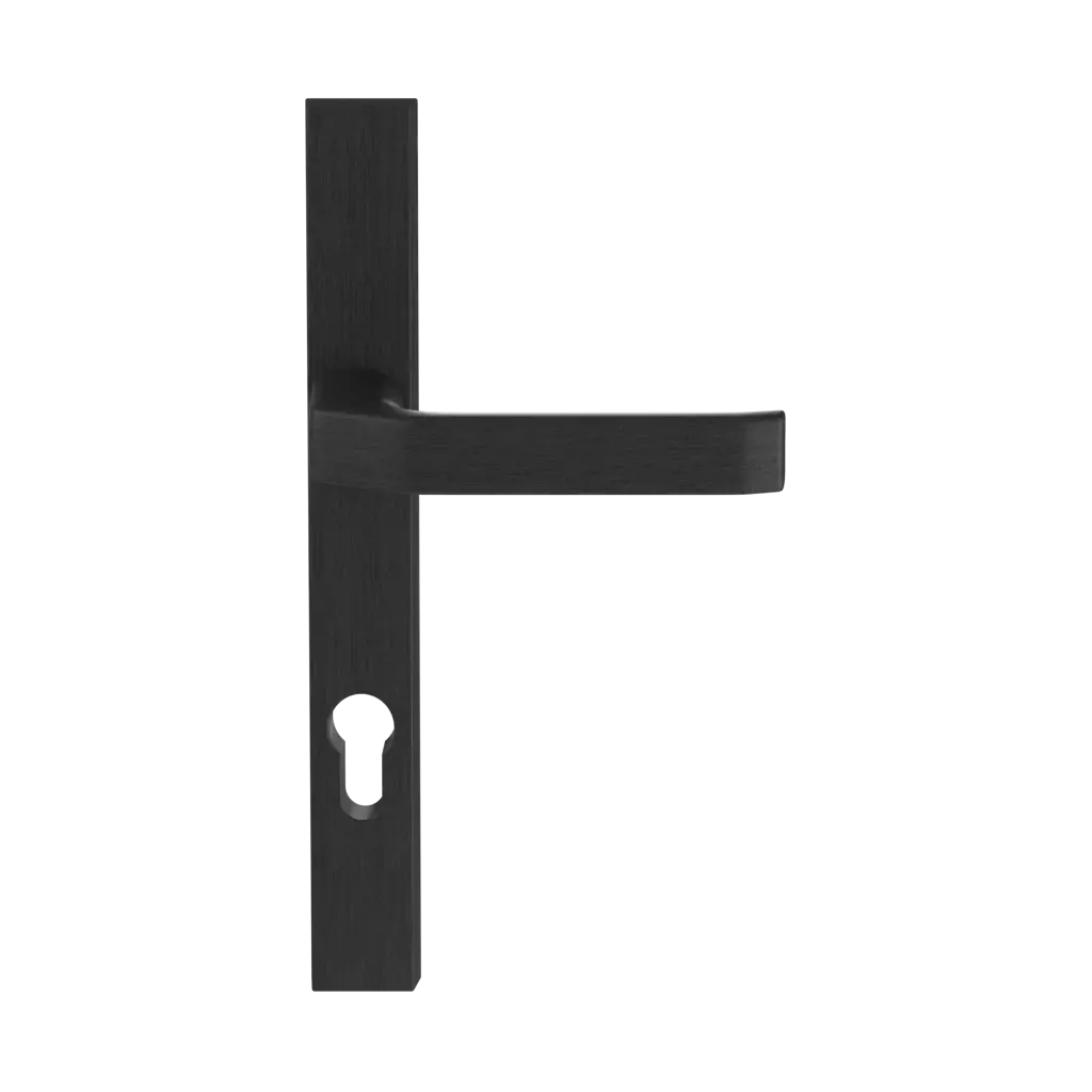 Black entry-doors door-accessories handles slim-solo black 