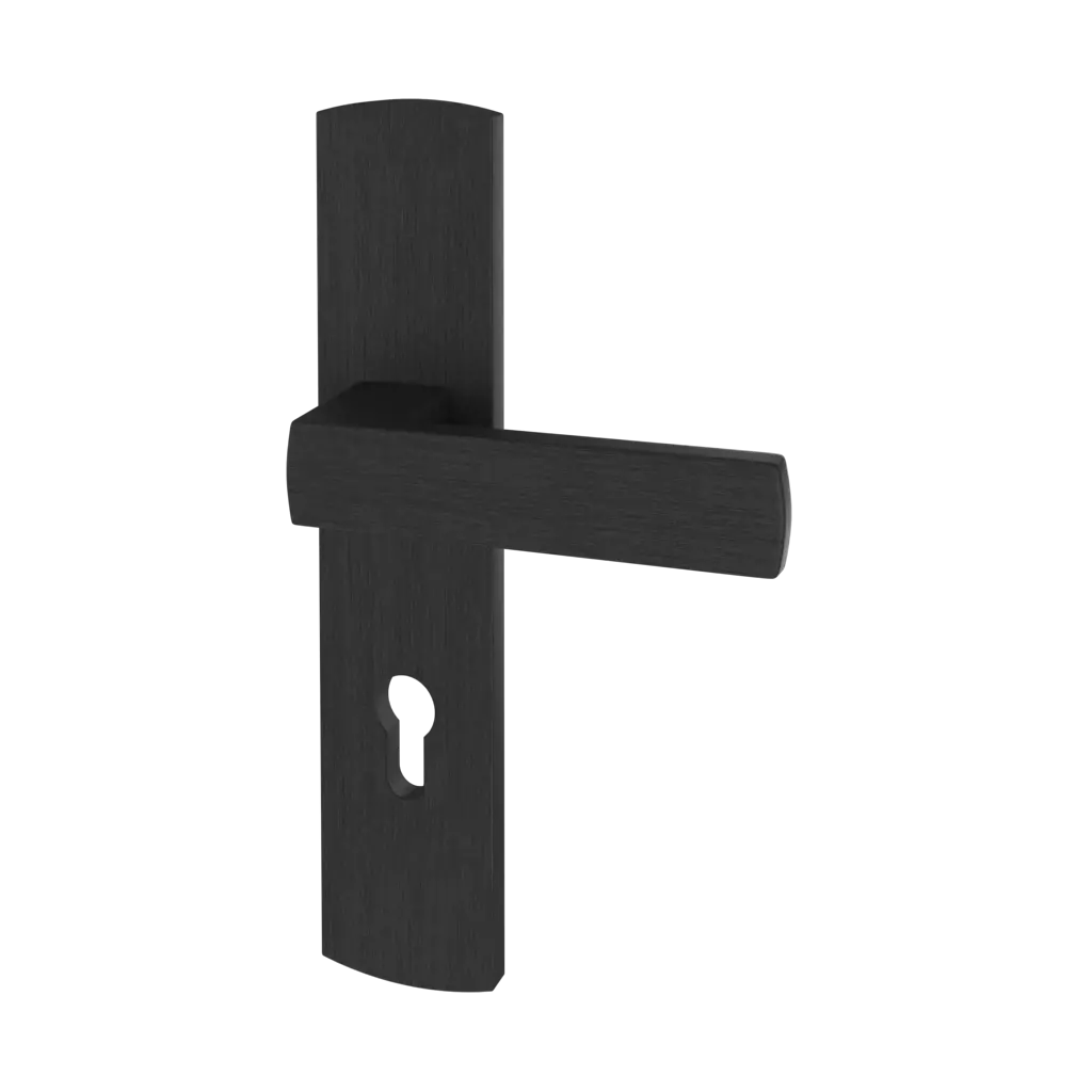 Black entry-doors door-accessories handles tohoma interior