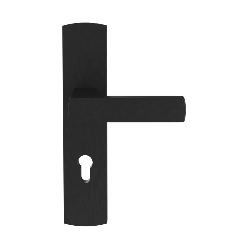 Black entry-doors door-accessories handles tohoma black 