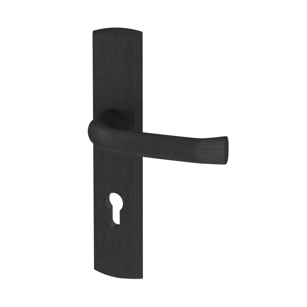 Black entry-doors door-accessories handles manitoba 