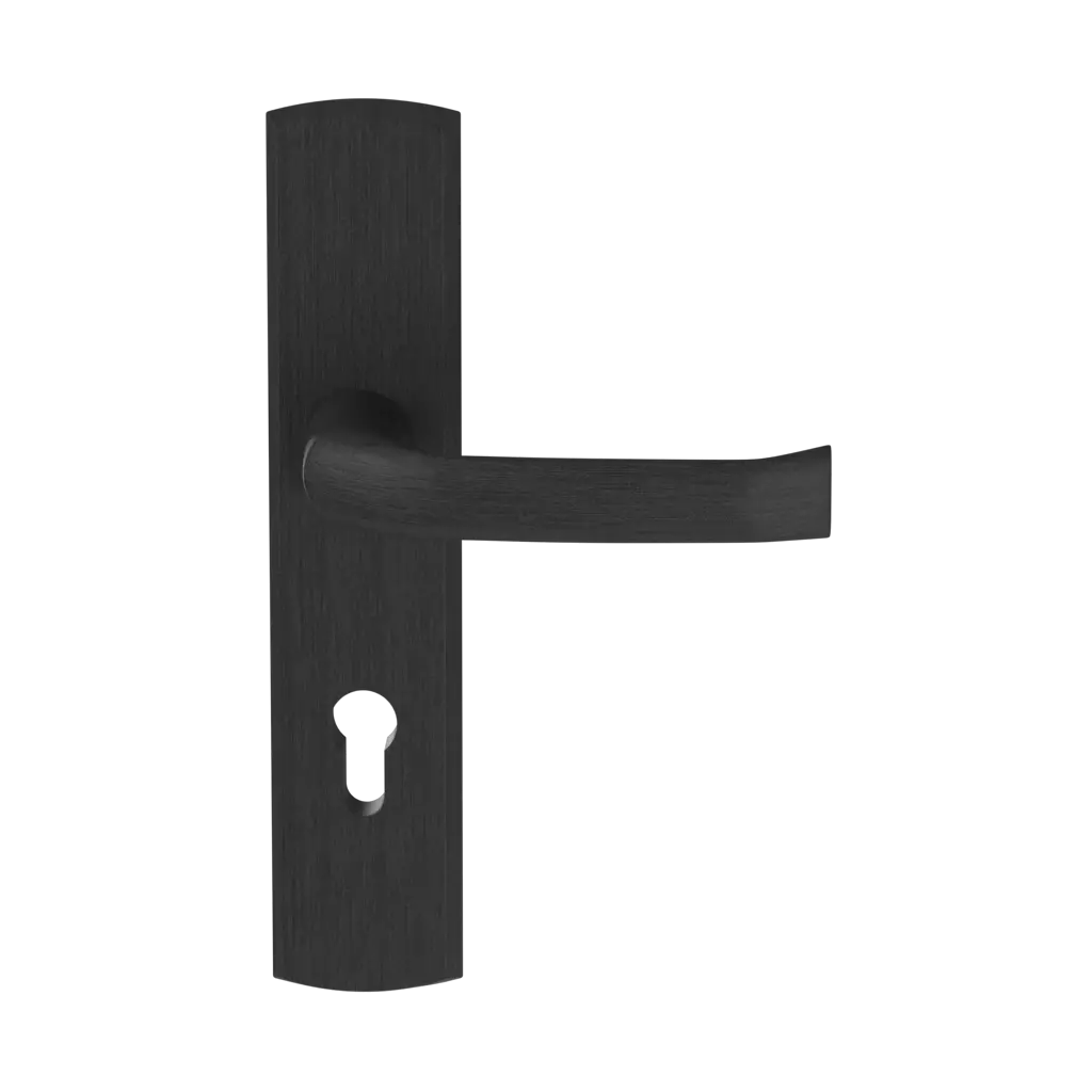 Black entry-doors door-accessories handles manitoba black 