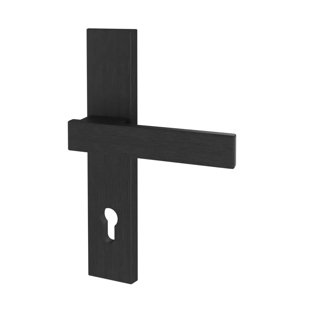 Black entry-doors door-accessories handles magnus interior