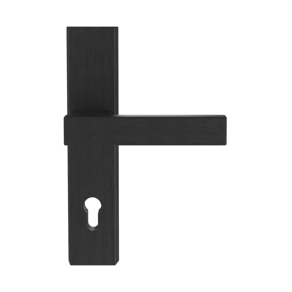 Black entry-doors door-accessories handles magnus black 