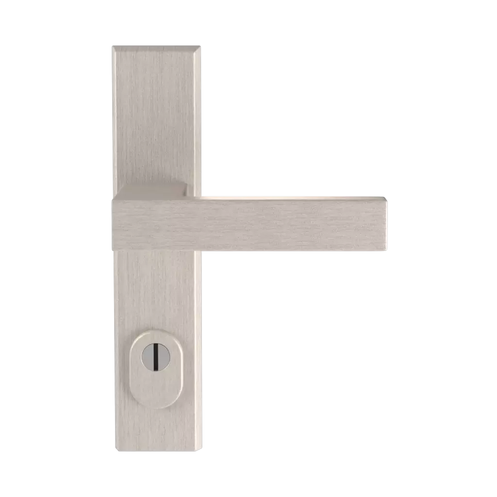 Inox entry-doors door-accessories handles magnus-class-c-with-protection inox 