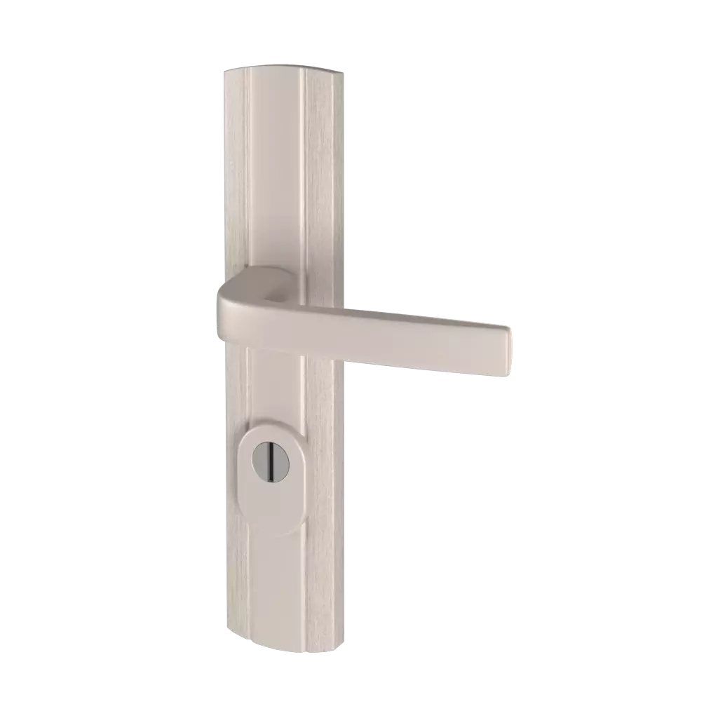 Prestige Class C with security entry-doors door-accessories handles 