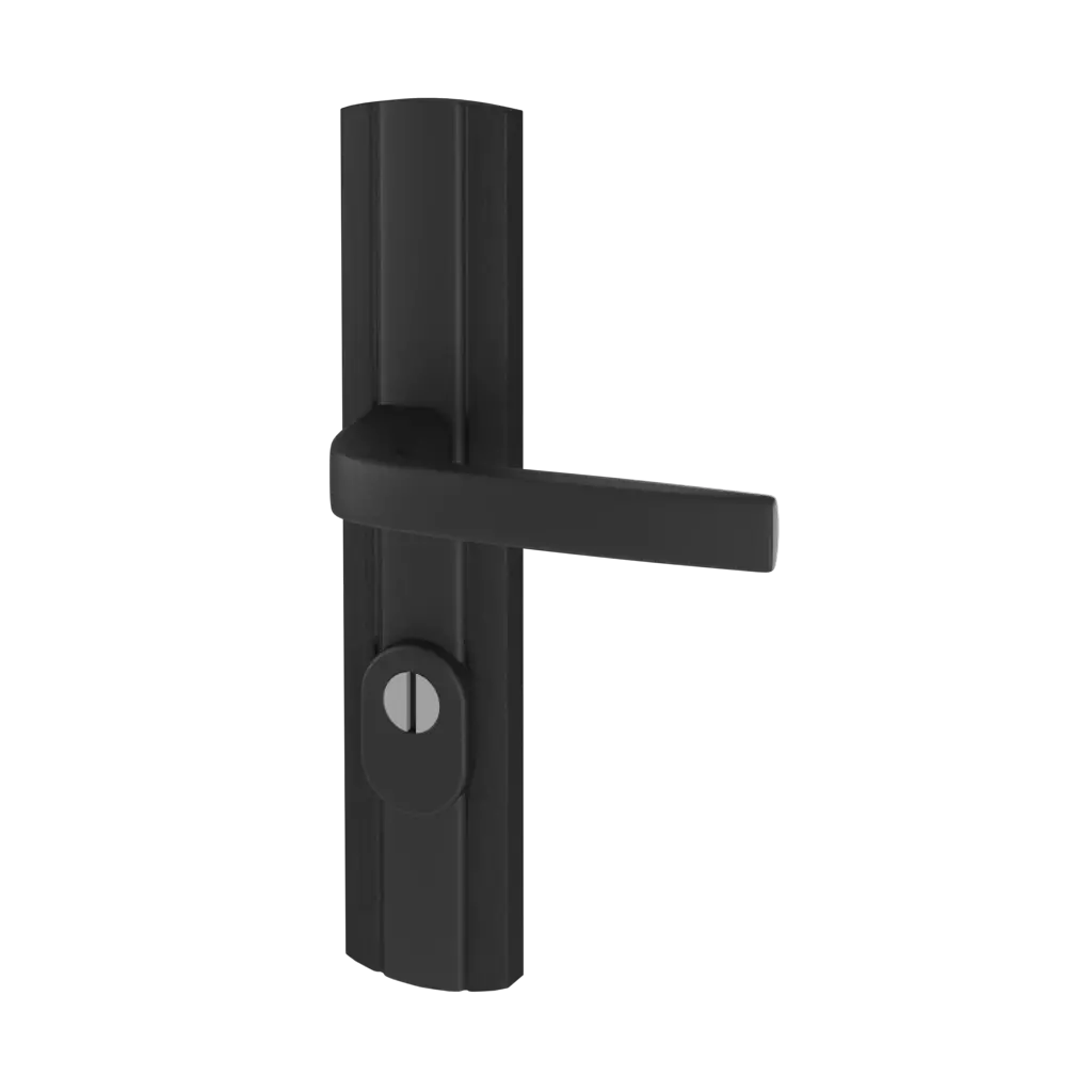 Black entry-doors door-accessories handles prestige-class-c-with-security 