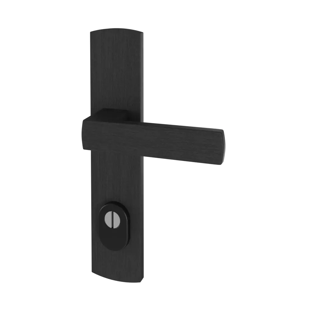 Black entry-doors door-accessories handles verdana-class-c-with-protection interior