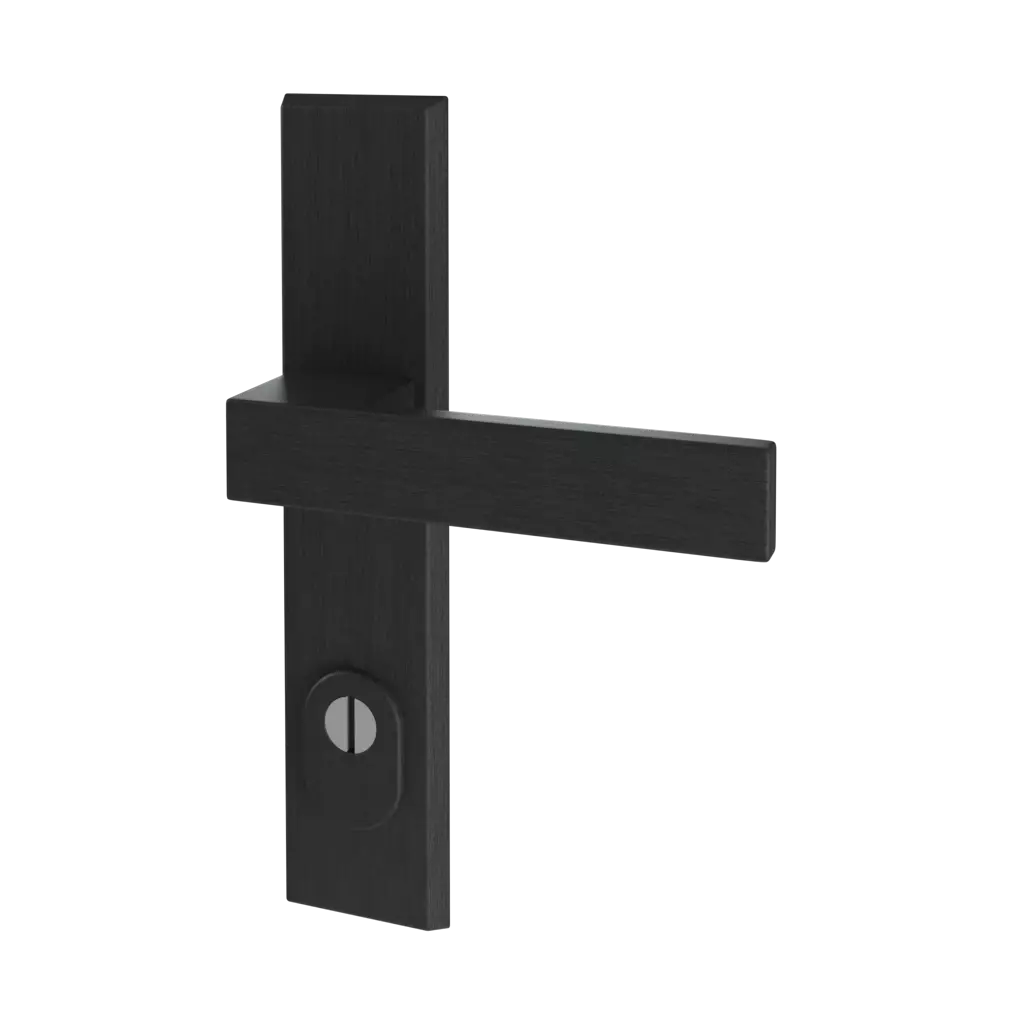 Black F8 entry-doors door-accessories handles royal interior