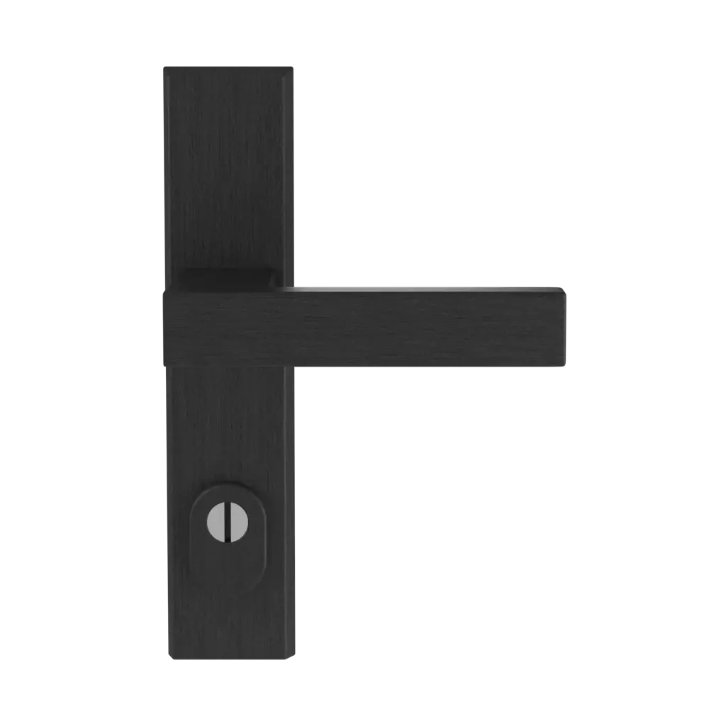 Black F8 entry-doors door-accessories handles royal black-f8 