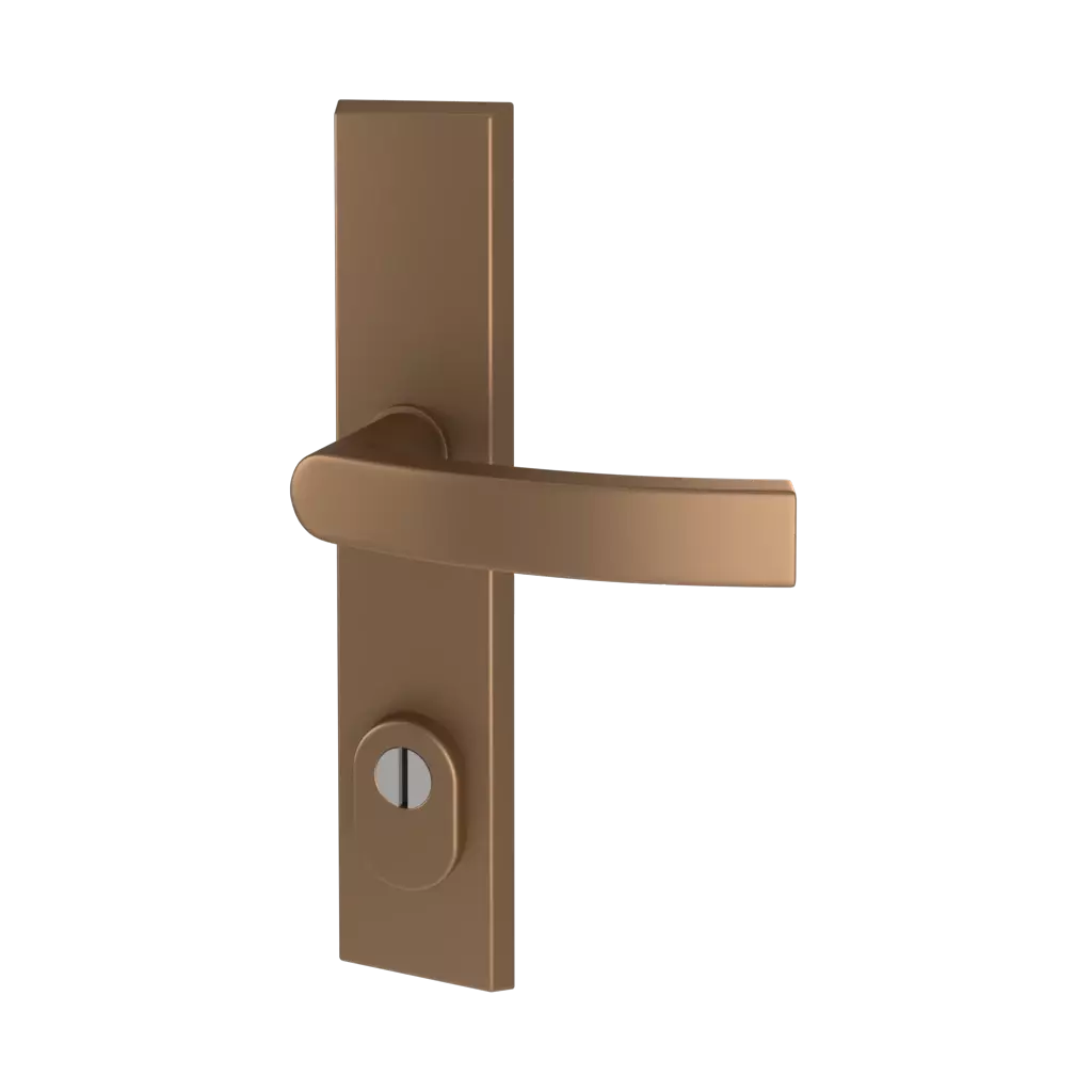 Old gold F4 entry-doors door-accessories handles odin 