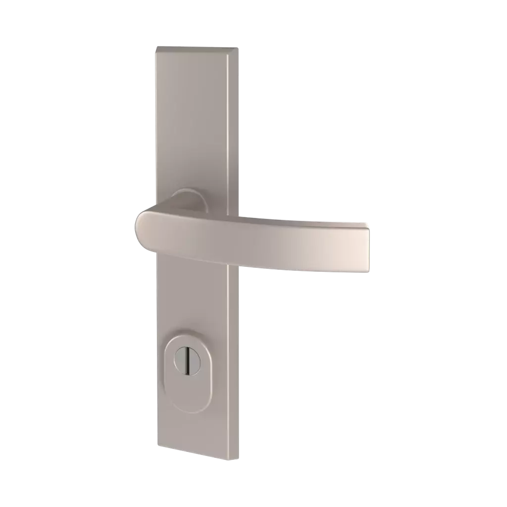 Stainless steel F6 entry-doors door-accessories handles odin 