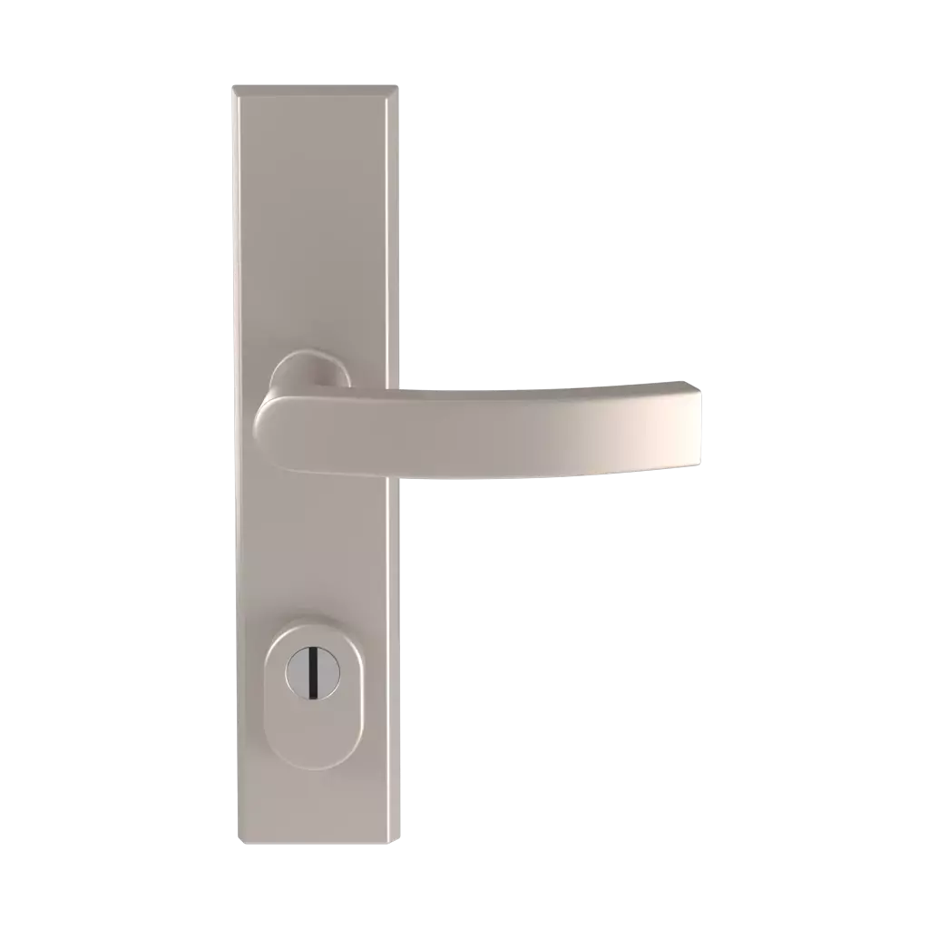 Stainless steel F6 entry-doors door-accessories handles odin stainless-steel-f6 