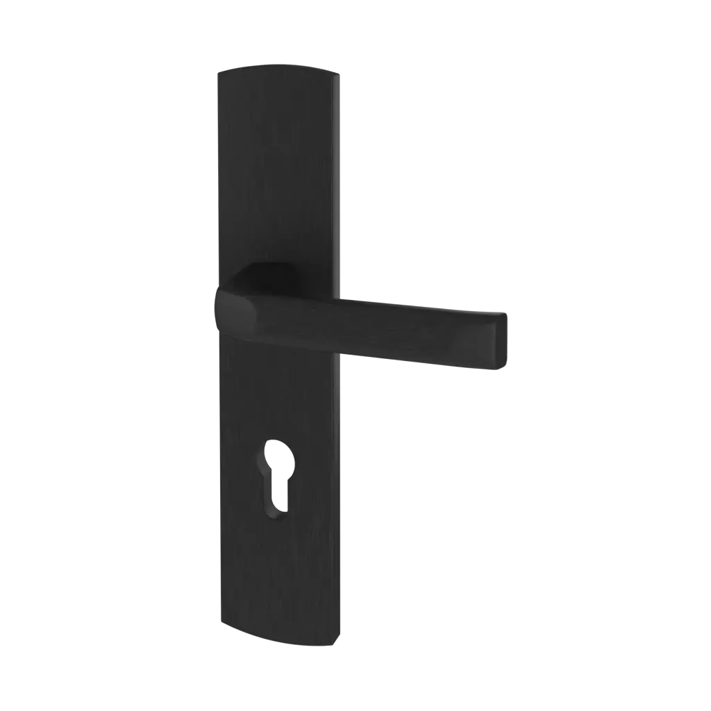 Black entry-doors door-accessories handles prime interior
