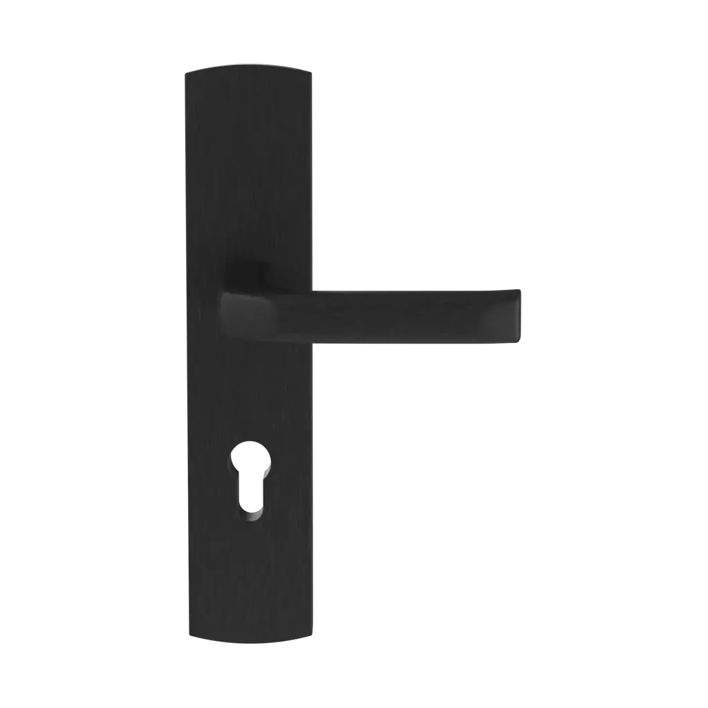 Black entry-doors door-accessories handles prime black 