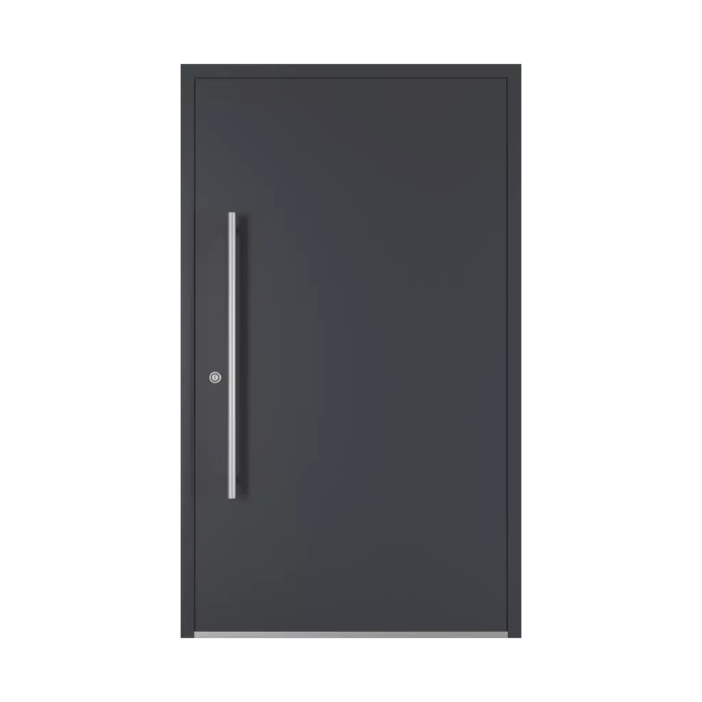 1000 mm entry-doors door-accessories pull-handles ps-10 interior