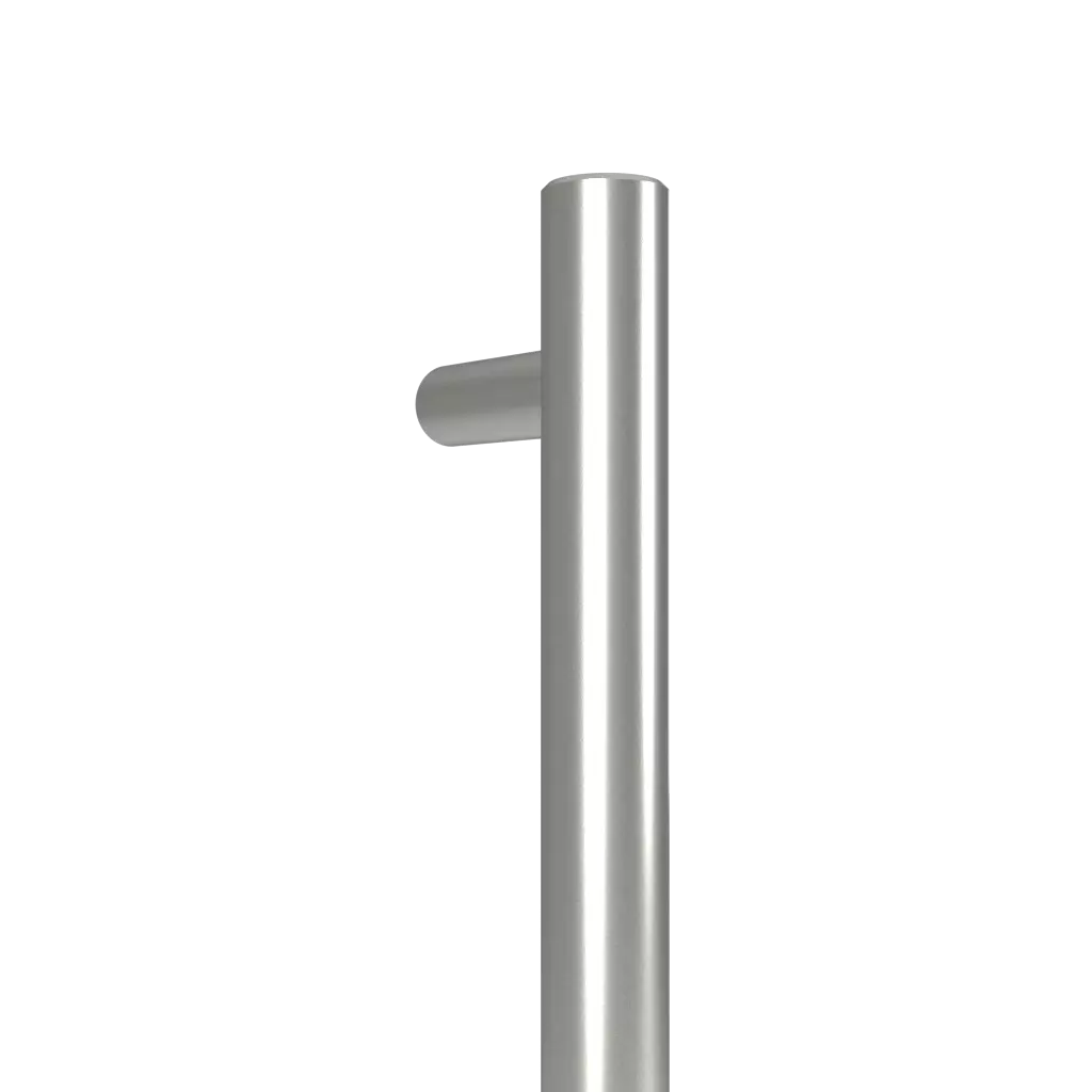 PS 10 entry-doors door-accessories pull-handles 