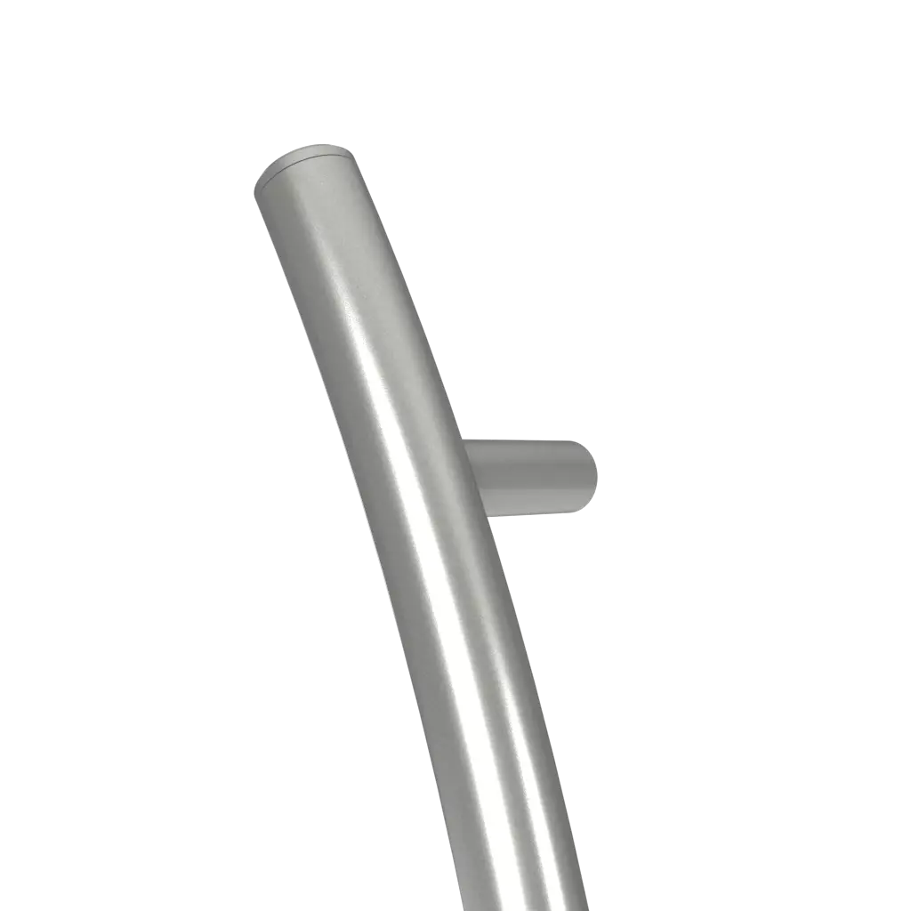 PS 20 entry-doors door-accessories pull-handles 