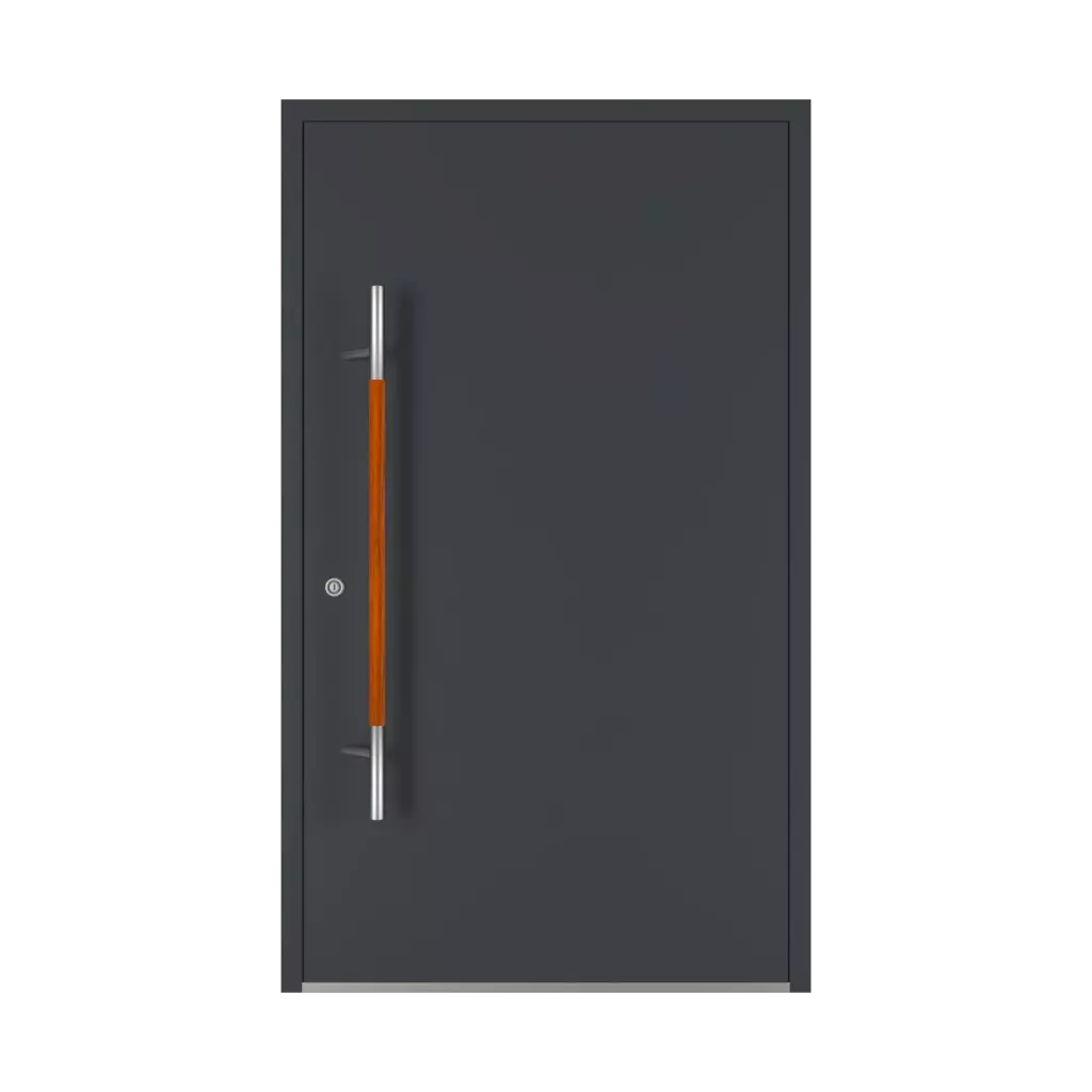 PD 134 entry-doors door-accessories pull-handles pd-134 interior