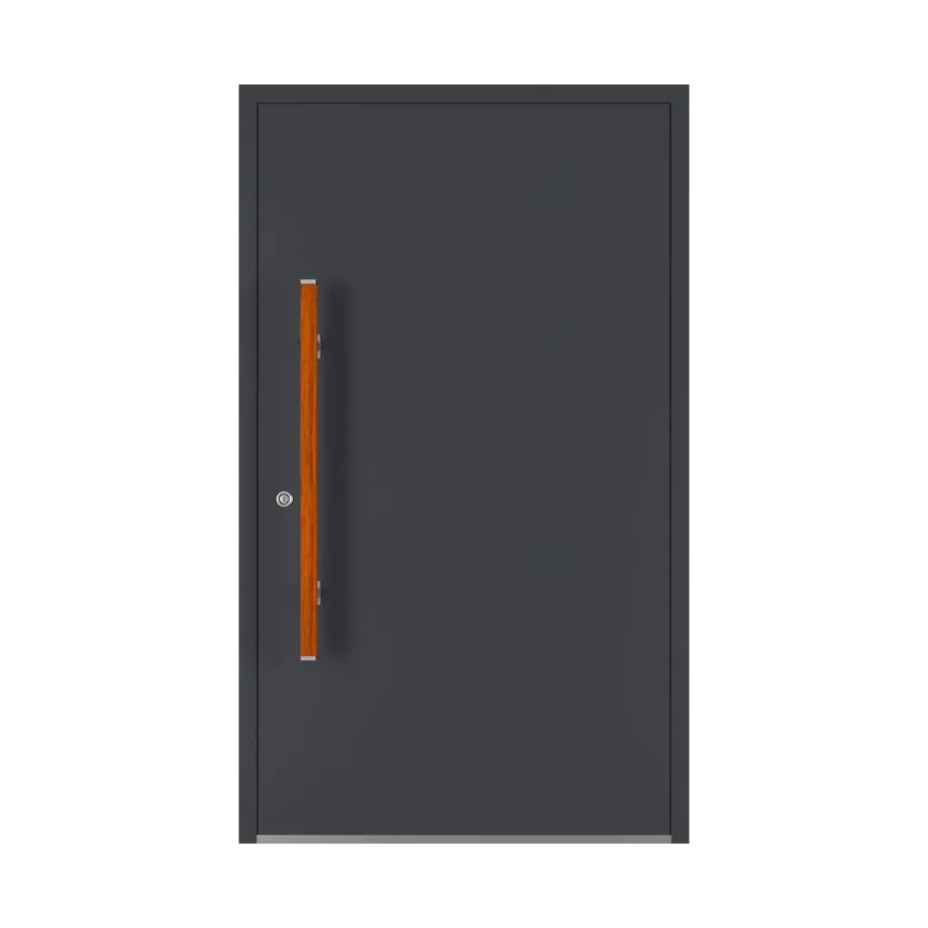 PD 136 ✨ entry-doors door-accessories pull-handles pd-136 interior