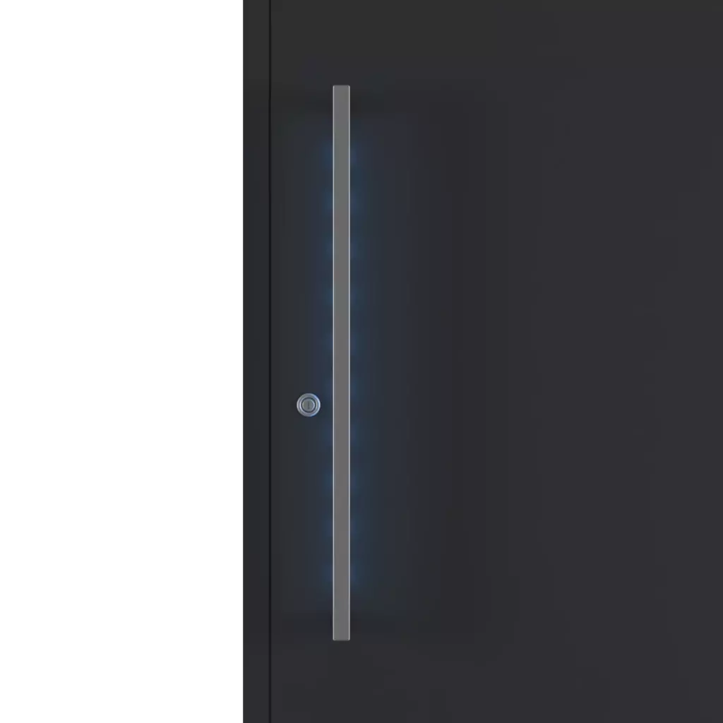 Blue entry-doors door-accessories pull-handles electronics-in-pull-handles interior