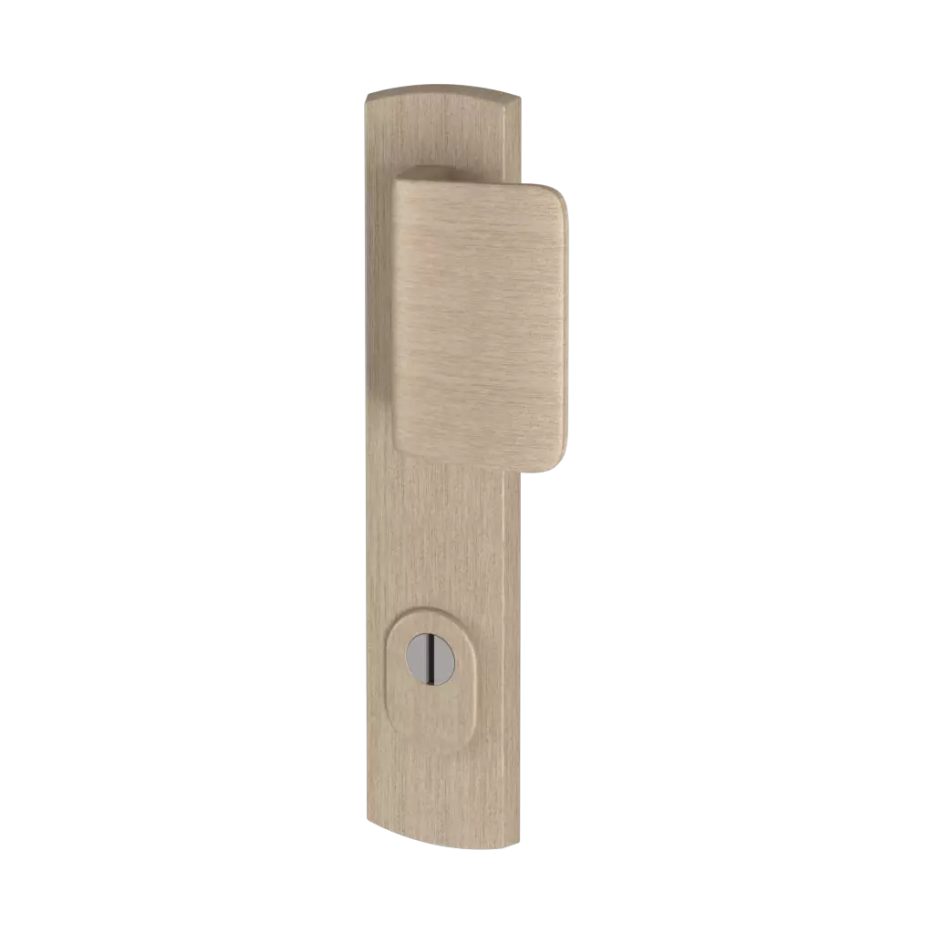 Titan F9 entry-doors door-accessories door-knobs apollo 