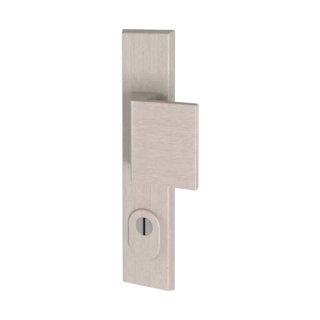 Stainless steel F6 entry-doors door-accessories door-knobs royal interior