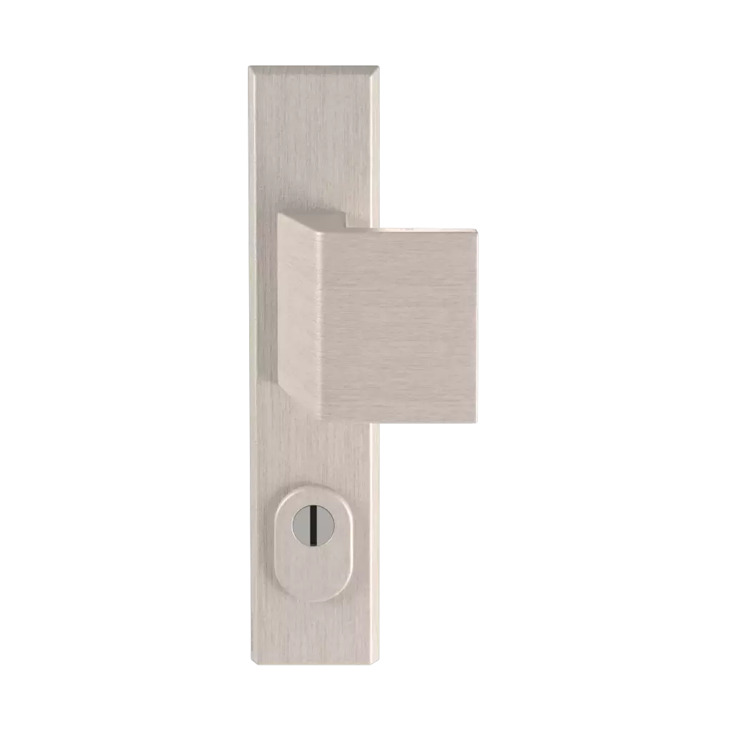 Stainless steel F6 entry-doors door-accessories door-knobs royal stainless-steel-f6 
