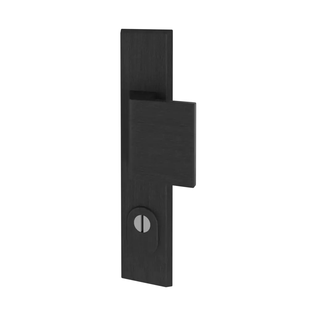 Black F8 entry-doors door-accessories door-knobs royal interior