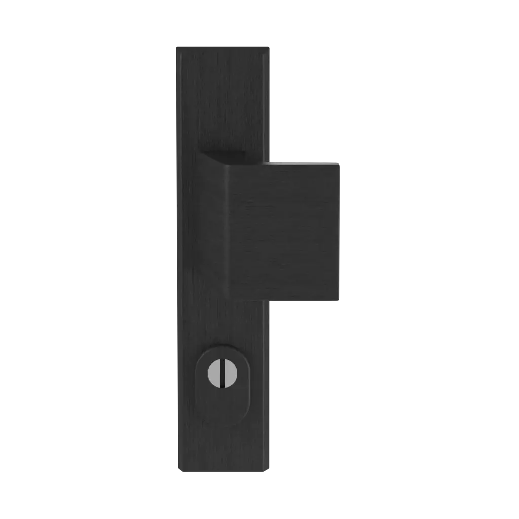 Black F8 entry-doors door-accessories door-knobs royal black-f8 