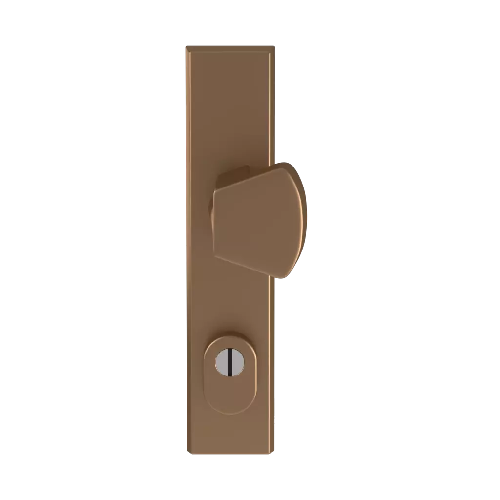Old gold F4 entry-doors door-accessories door-knobs odin old-gold-f4 