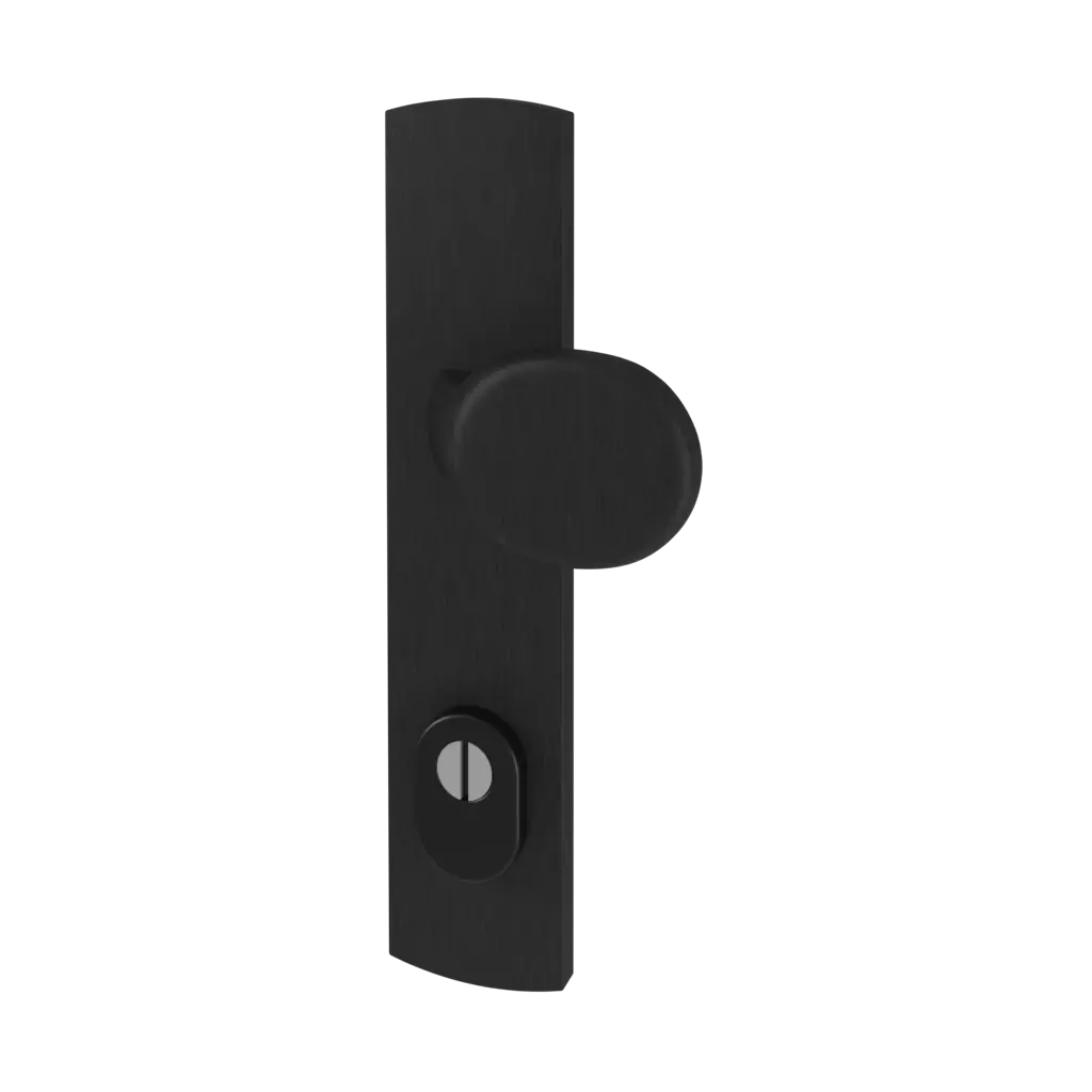 Black entry-doors door-accessories door-knobs verdana-class-c-with-protection interior
