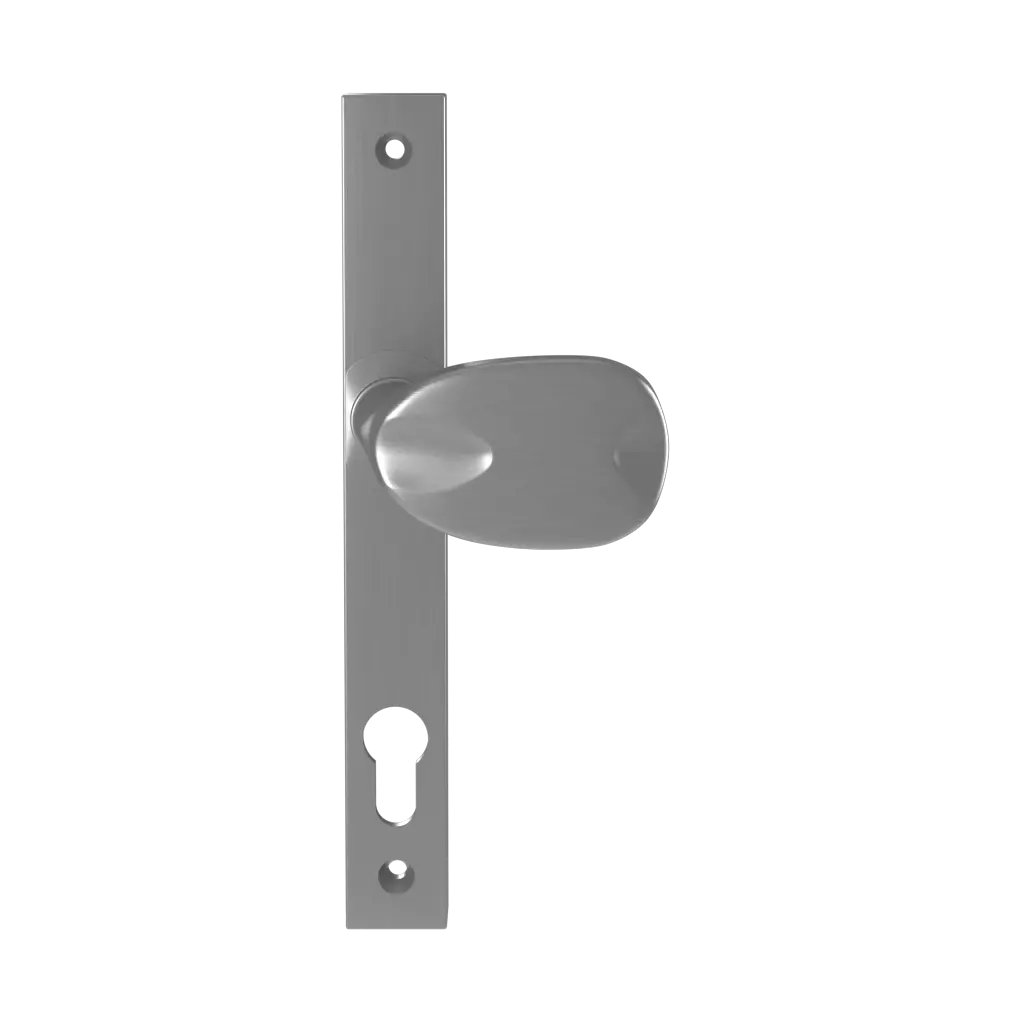 Silver entry-doors door-accessories door-knobs boston silver 